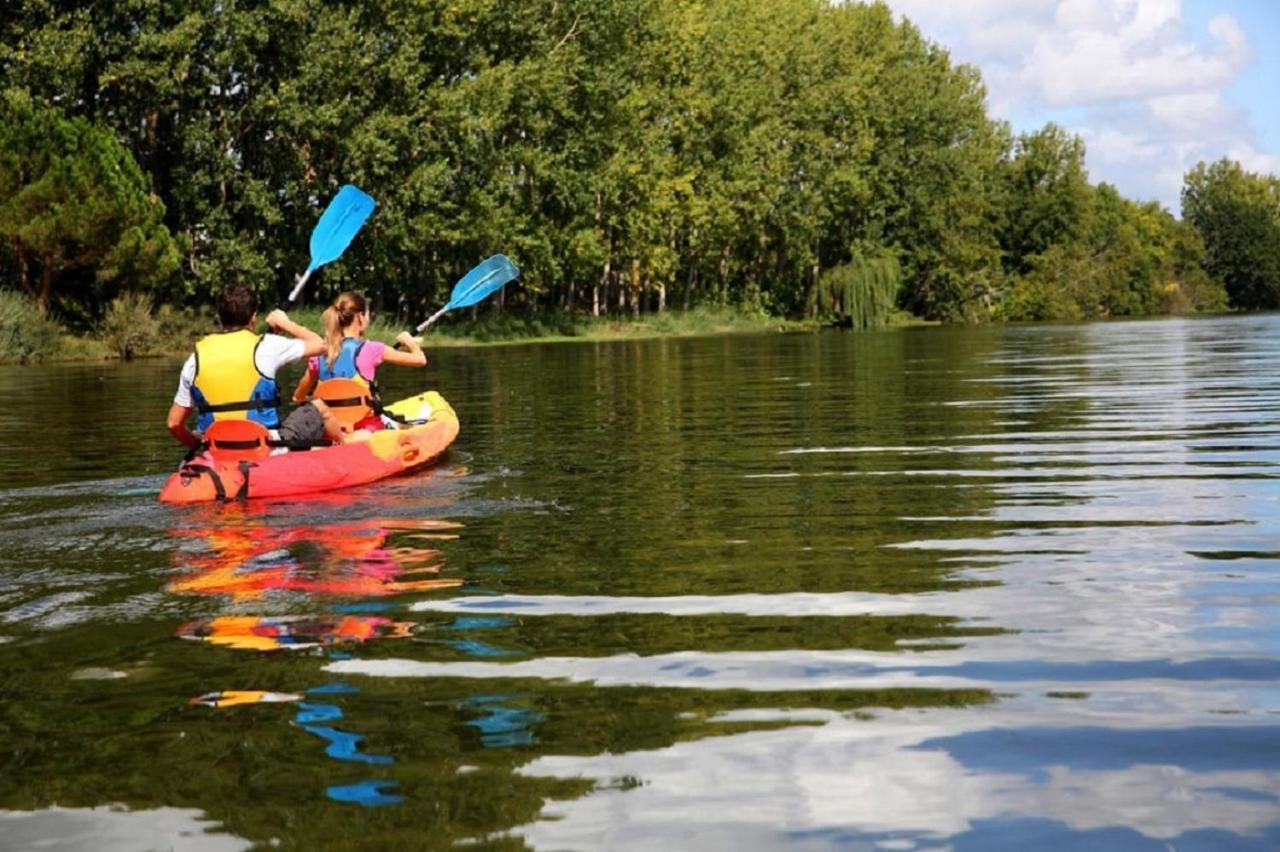 Les Cygnes Au Bord Du Loing Villa Montigny-sur-Loing ภายนอก รูปภาพ